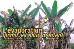Affiche de l’exposition. Photo: ecoleartuccle.be