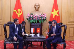 Doan Minh Huan, membre du Bureau politique et directeur de l’Académie politique nationale Ho Chi Minh, reçoit Lee Hong Chuang, député du PAP. Photo: VNA