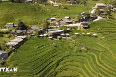 Le Vietnam adopte un programme pour les zones ethniques et montagneuses. Photo: VNA