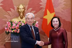 La vice-présidente de l’Assemblée nationale Nguyên Thi Thanh et le président du groupe japonais Tokushukai, Higashiue Shinichi. Photo: VNA