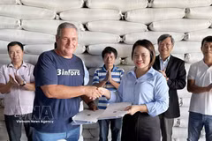 AgriVMA livre 1 200 tonnes de riz à Cuba. Photo: VNA