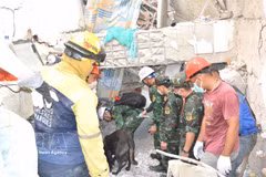 Les secouristes vietnamiens à la recherche de victimes dans les décombres. Photo: VNA