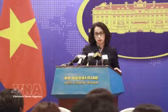 La porte-parole du ministère des Affaires étrangères, Pham Thu Hang. Photo: VNA