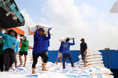 Exportations de riz. Photo: VNA
