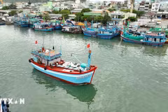 À ce jour, 100 % des navires de pêche ont finalisé leur enregistrement, leur inspection, et l'actualisation de leurs données sur le système national VNFishbase. Photo: VNA
