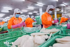 Transformation des produits aquatiques pour l'exportation. Photo: VNA