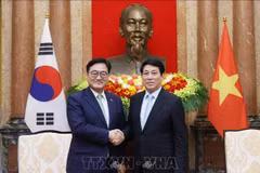 Le président vietnamien Luong Cuong (à droite) et le président de l'Assemblée nationale sud-coréenne Woo Won Shik. Photo: VNA