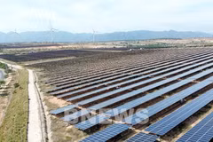 Un parc solaire situé dans la commune de Phuoc Dinh, province de Khanh Hoa. Photo: VNA