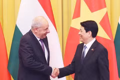 Le président Luong Cuong (droite) et le président hongrois Sulyok Tamás. Photo. VNA