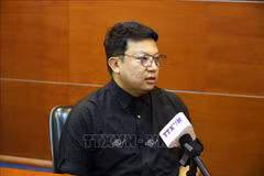 Le professeur associé Ma Jie, de l’Institut d’études de l’hémisphère sud de l’Université de Tianjin. Photo: VNA