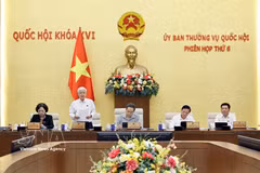 Le vice-président permanent de l’AN, Do Van Chien s'exprime lors de la réunion. Photo : VNA 