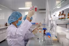 Des chercheurs de l’Institut des vaccins et des produits biologiques médicaux, relevant du ministère de la Santé, mènent des recherches et procèdent au contrôle des vaccins. Photo: VNA