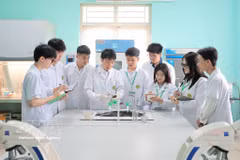 La main-d’œuvre numérique, levier stratégique pour améliorer la productivité du Vietnam