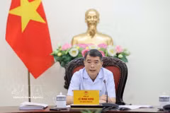 Le Premier ministre Lê Minh Hung s'exprime lors de la réunion. Photo: VNA