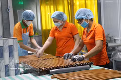 ​La production industrielle vietnamienne a poursuivi sa progression au cours des huit premiers mois de 2026, portée notamment par la bonne performance de l’industrie manufacturière et de transformation, qui reste le principal moteur de la croissance du secteur. Photo: VNA