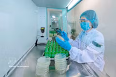 Nestlé Bông Sen (Hung Yên) applique les technologies numériques au service d’une production verte. Photo: VNA