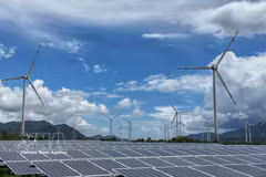 Khanh Hoa dispose de nombreux atouts pour mettre en œuvre des projets dans les énergies renouvelables et les nouveaux secteurs de l’énergie. Photo: VNA