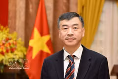 L’ambassadeur du Vietnam en République tchèque, Duong Hoai Nam. Photo: VNA