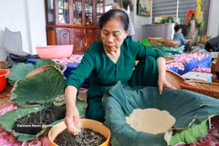 Le thé au lotus de Quang An, joyau raffiné du patrimoine hanoïen 