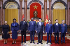 Le président Luong Cuong et les nouveaux ambassadeurs. Photo: VNA