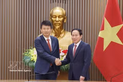 Le vice-Premier ministre Lê Tiên Châu (droite) et le professeur Hongbin Cai, doyen de la Faculté de commerce de l’Université de Hong Kong (Chine). Photo: VNA