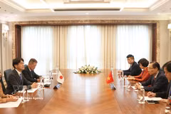 Le membre du Bureau politique et ministre des Affaires étrangères Lê Hoai Trung (droite). Photo: VNA