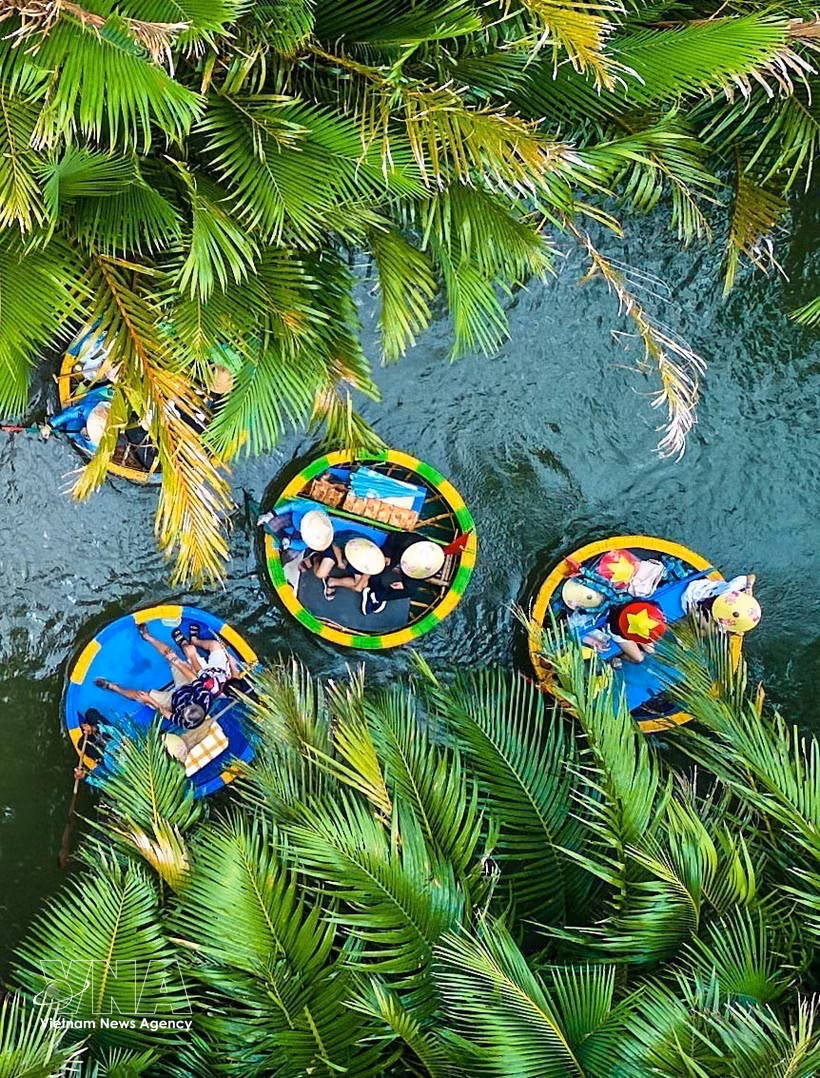 La forêt de cocotiers de Bay Mau, une oasis verte au cœur de Dà Nang. Photo : VNA