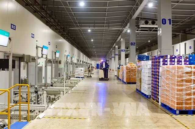 NECS est considéré comme l'un des projets phares, doté d'un système automatisé d'entreposage frigorifique capable de contenir plus de 110 000 palettes. Photo : VNA