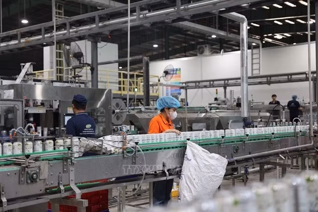 Des ouvriers travaillent sur une chaîne de production dans une usine du parc industriel de Châu Duc, à Hô Chi Minh-Ville. Photo : VNA