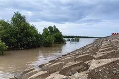 La BAD alerte sur les lourdes pertes économiques que le changement climatique pourrait entraîner au Cambodge