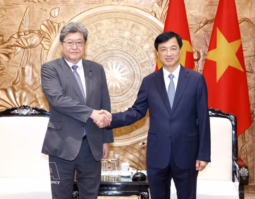 Nguyen Duy Ngoc, membre du Bureau politique, président de la Commission de l'organisation du Comité central du Parti communiste du Vietnam (PCV) et président du Groupe d'amitié parlementaire Vietnam-Japon (droite) et Hagiuda Koichi, secrétaire général exécutif par intérim du Parti libéral-démocrate (PLD) du Japon. Photo : VNA