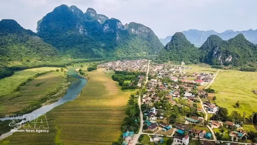Côn Chim à la saison de nidification : le ballet majestueux de milliers d'oiseaux sur la lagune de Thi Nai