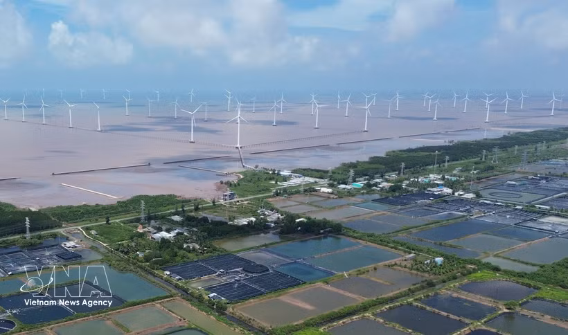 Un projet éolien en mer dans la commune de Dong Hai, province de Ca Mau. Photo : VNA