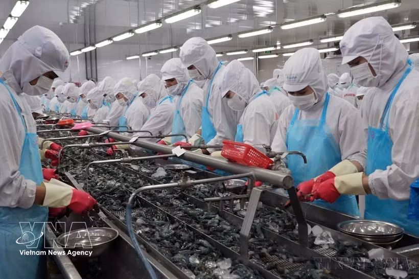 Le secteur des produits aquatiques est en première ligne pour récolter les fruits du VEFTA. Photo : VNA