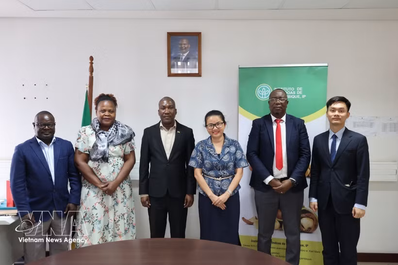 L’ambassadrice Trân Thi Thu Thin et la délégation de l’ambassade du Vietnam au Mozambique posent pour une photo souvenir avec le directeur Jorge Vidigal Fole et des responsables clés de l’Institut mozambicain de la noix de cajou. Photo: VNA