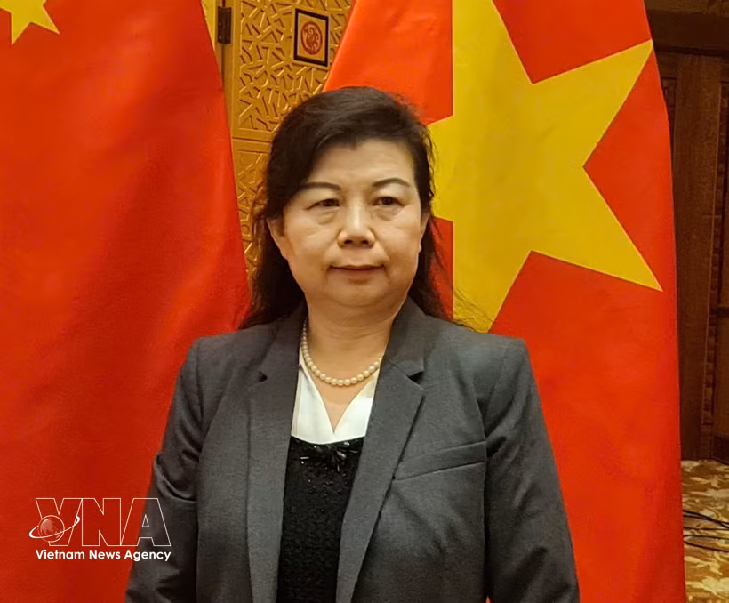 Liu Ying, chercheuse à l’Institut Chongyang d’études financières de l’Université Renmin de Chine. Photo : VNA