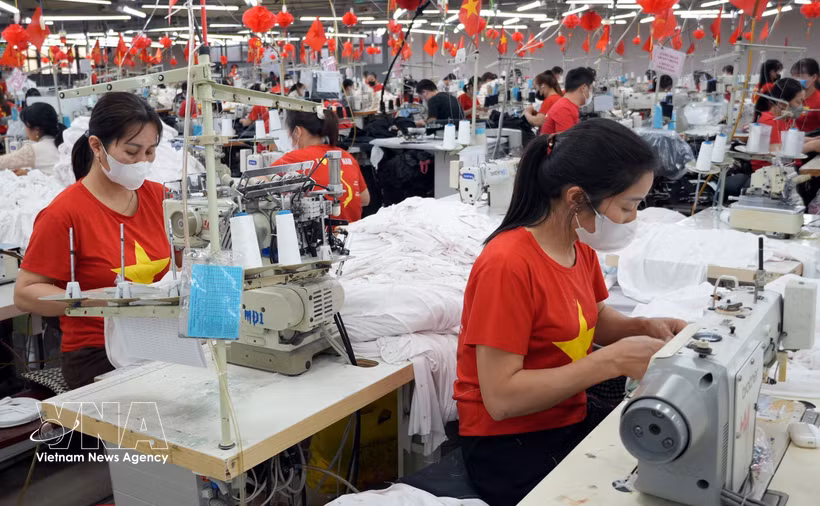 La part des marchandises vietnamiennes demeure dérisoire au sein du CPTPP, représentant à peine 1% du volume global des importations des pays membres. Photo: VNA