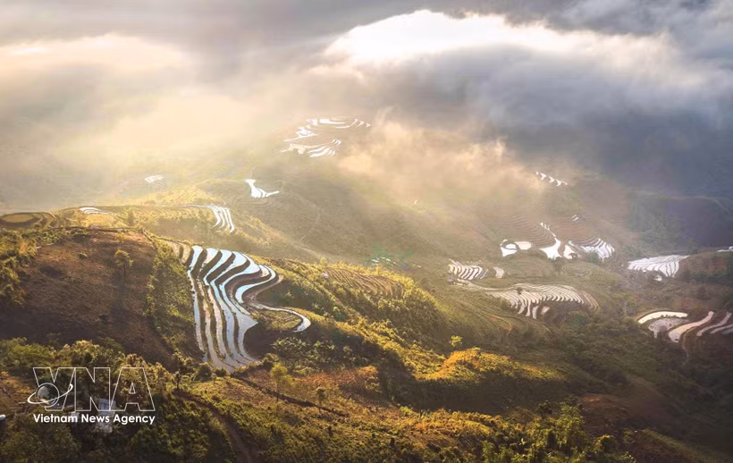 La montagne Tà Xua culmine à 2.875 m au-dessus du niveau de la mer. Les visiteurs peuvent gravir le sommet pour admirer le panorama enchanteur des rizières en terrasse et des hameaux ethniques baignant dans une mer de nuages. Photo: VNA