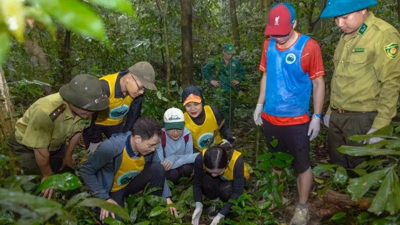 Des visiteurs participent au circuit « Retour à la maison » au parc national de Cuc Phuong. Photo : NDEL