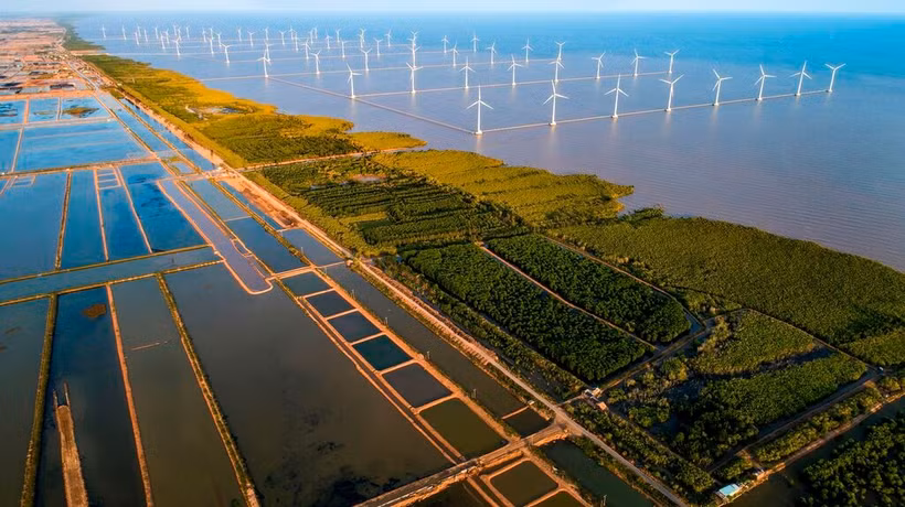 En Asie du Sud-Est, le Vietnam est l’un des premiers pays à avoir choisi la voie de la croissance verte. Photo : TNMT