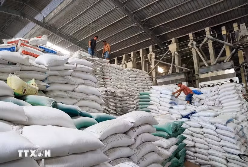 Le riz est l’un des produits d’exportation phares du Vietnam vers Cuba. Photo : VNA