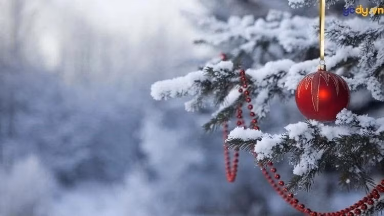 Vague de froid attendue dans le Nord du Vietnam pour Noël 2025. Photo d'illustration: moitruong.net.vn