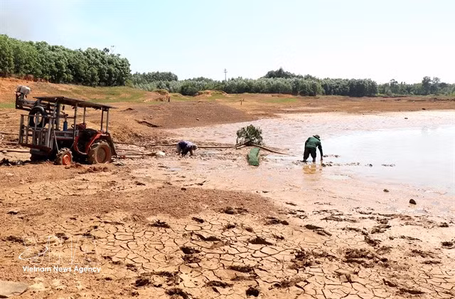 Le réservoir de An Hôi, situé dans la province de Quang Ngai, est à sec et cesse d’ alimenter les stations de pompage, livrant les rizières de la saison été-automne à une sécheresse implacable. Photo: VNA