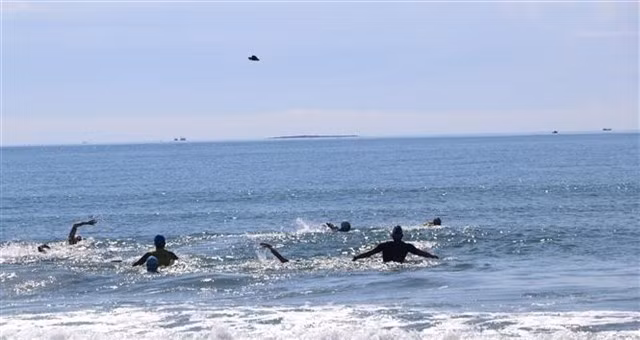 Les athlètes participent à l’épreuve de natation des Championnats nationaux de triathlon 2024. Photo : VNA