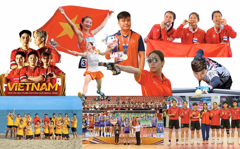 Le sport vietnamien signe une année historique de performances et de records. Photo : VNA