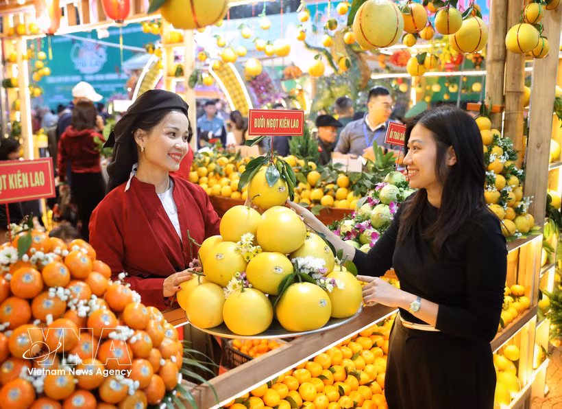 Le secteur agricole devrait enregistrer une croissance d’au moins 4 % en 2026, tandis que les exportations de produits agricoles devraient franchir la barre des 74 milliards de dollars. Photo : VNA