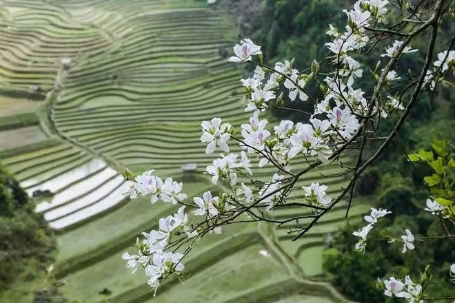 Photo: VietnamPlus