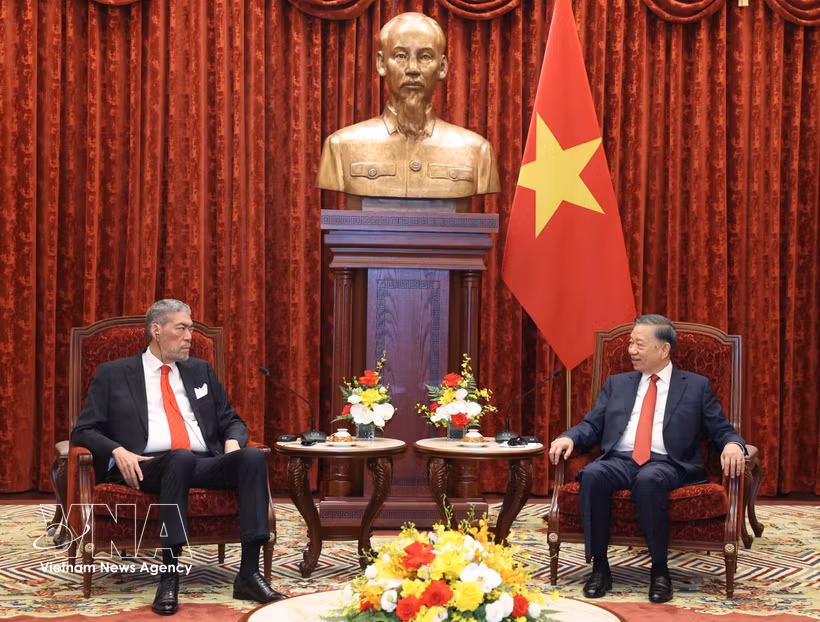 Le secrétaire général du Parti communiste du Vietnam et président vietnamien Tô Lâm (à droite) et le secrétaire général du Mouvement de la gauche unie (MIU) de la République dominicaine, Miguel Mejía, à Hanoi, le 26 octobre. Photo : VNA