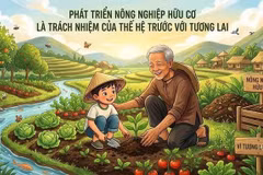 Photo d'illustration 
