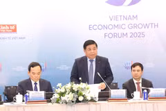 Le vice-Premier ministre Nguyen Chi Dung. Photo : VNA